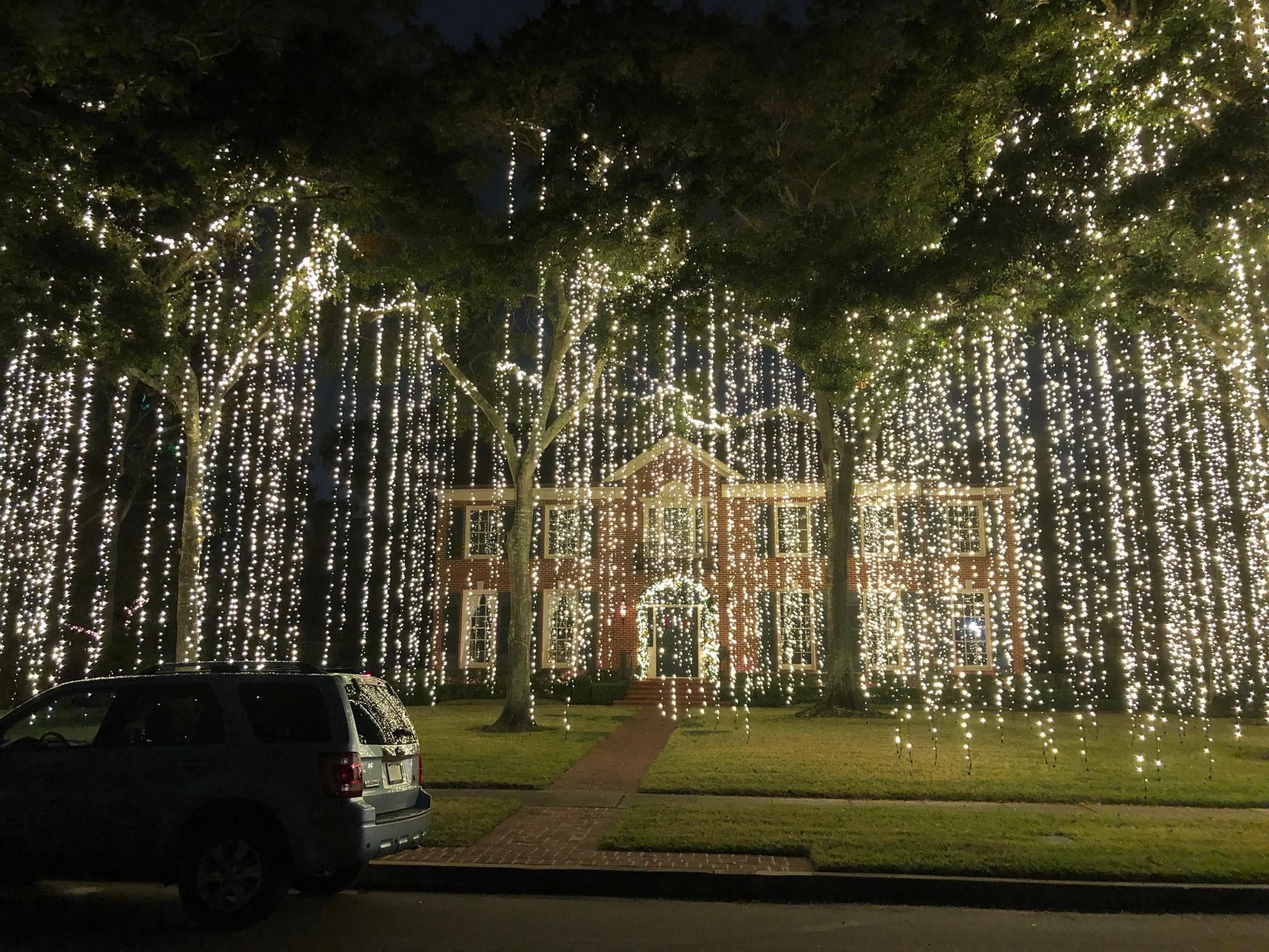 Holiday lights hanging from trees